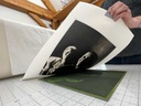 [DTP-ZOOM] A Recorded Live Session: Direct to Plate Photopolymer Photogravure