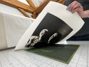 A Recorded Live Zoom Session: Direct to Plate Photopolymer Photogravure