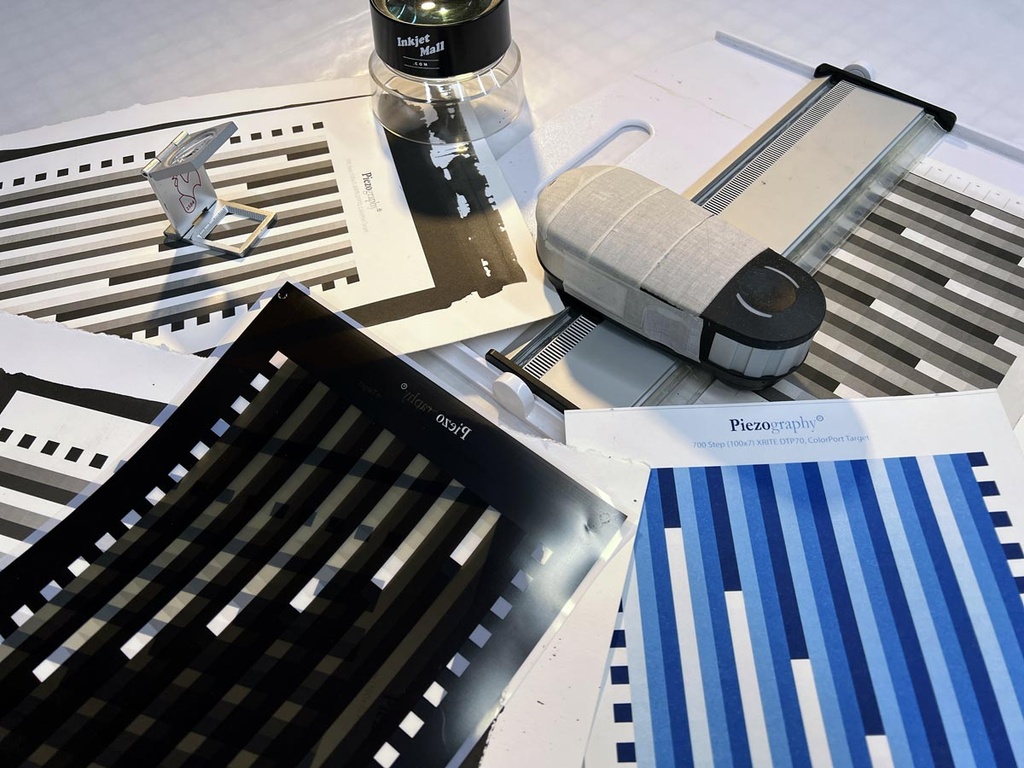 A Recorded Live Zoom Session March 10, 5:00-6:30 EST: PiezoDN Calibrated Digital Negatives